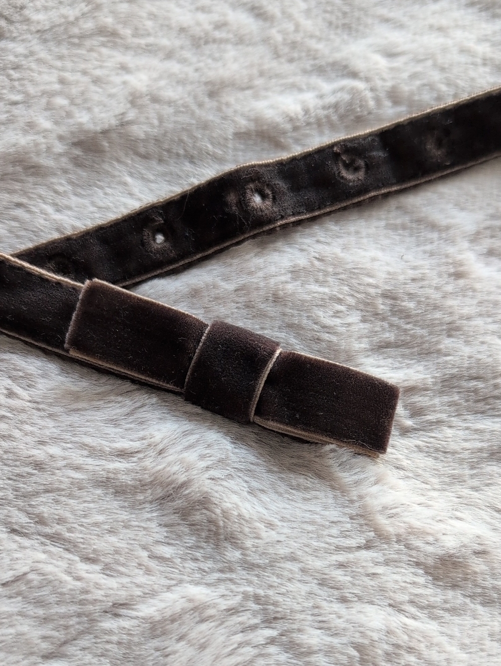 Women's Velvet Bow Detail Belt in Dark Brown